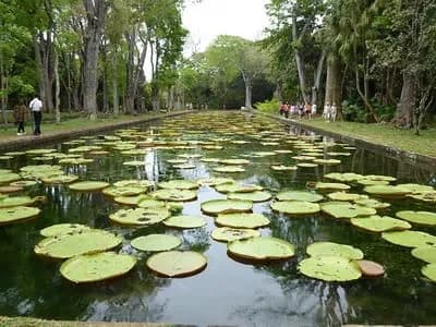 Top Places to Visit in Mauritius
