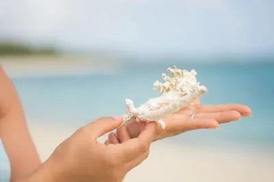 Lifestyle In Mauritius